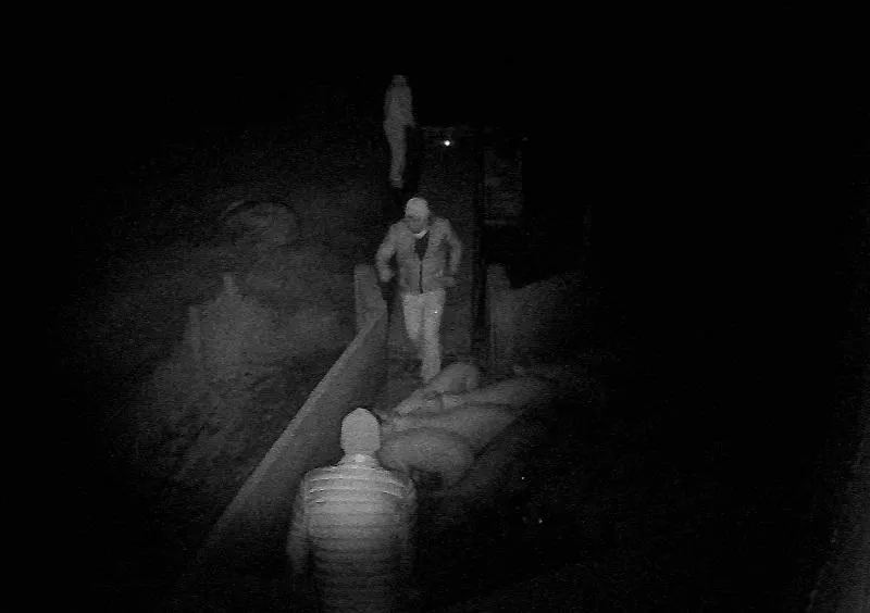 Furto de suínos, desta vez em Quatro Pontes, acende alerta entre produtores rurais da região